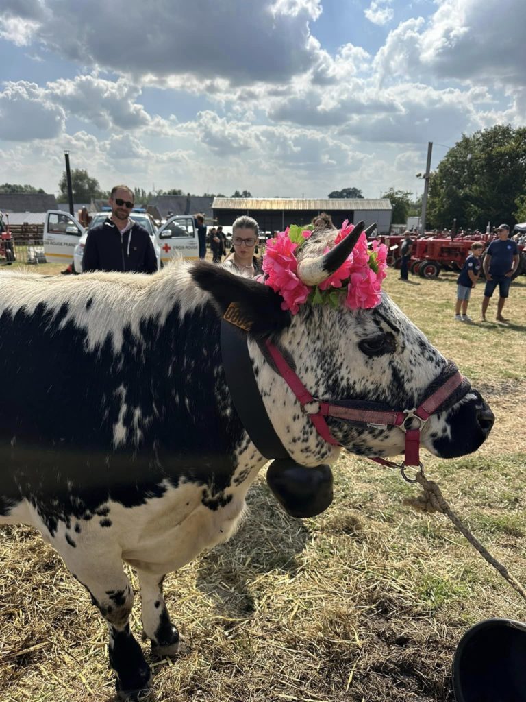 La Neuville les Dorengt / Thiérache / HDF