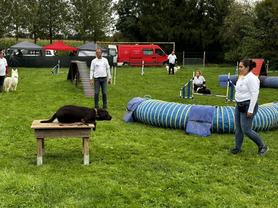 Club Canin de la Haie des Copelins de Voulpaix 