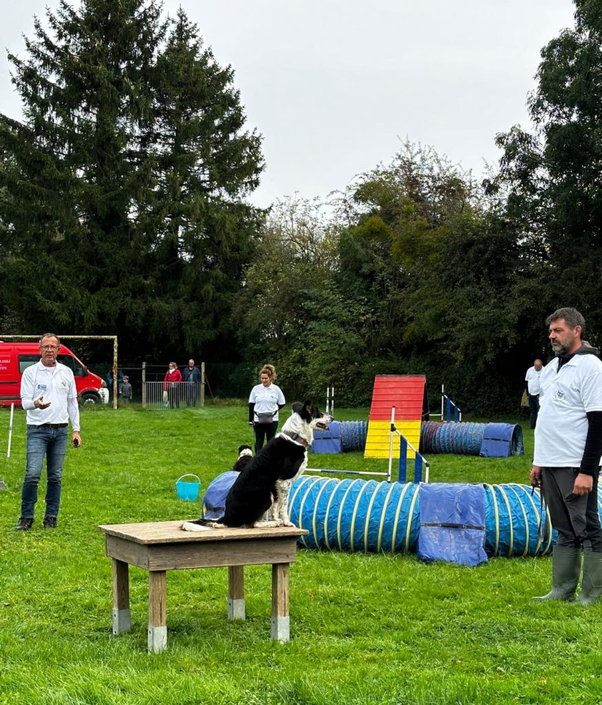 Club Canin de la Haie des Copelins de Voulpaix 