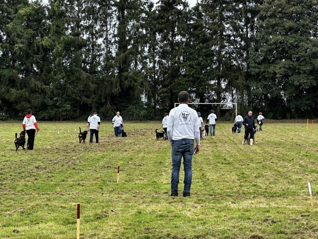 Club Canin de la Haie des Copelins de Voulpaix 