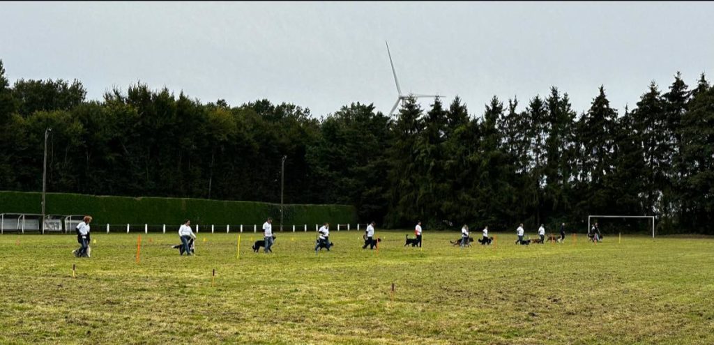 Club Canin de la Haie des Copelins de Voulpaix 