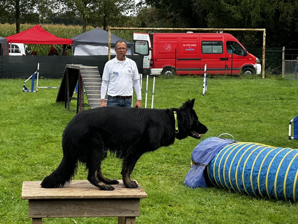 Club Canin de la Haie des Copelins de Voulpaix 