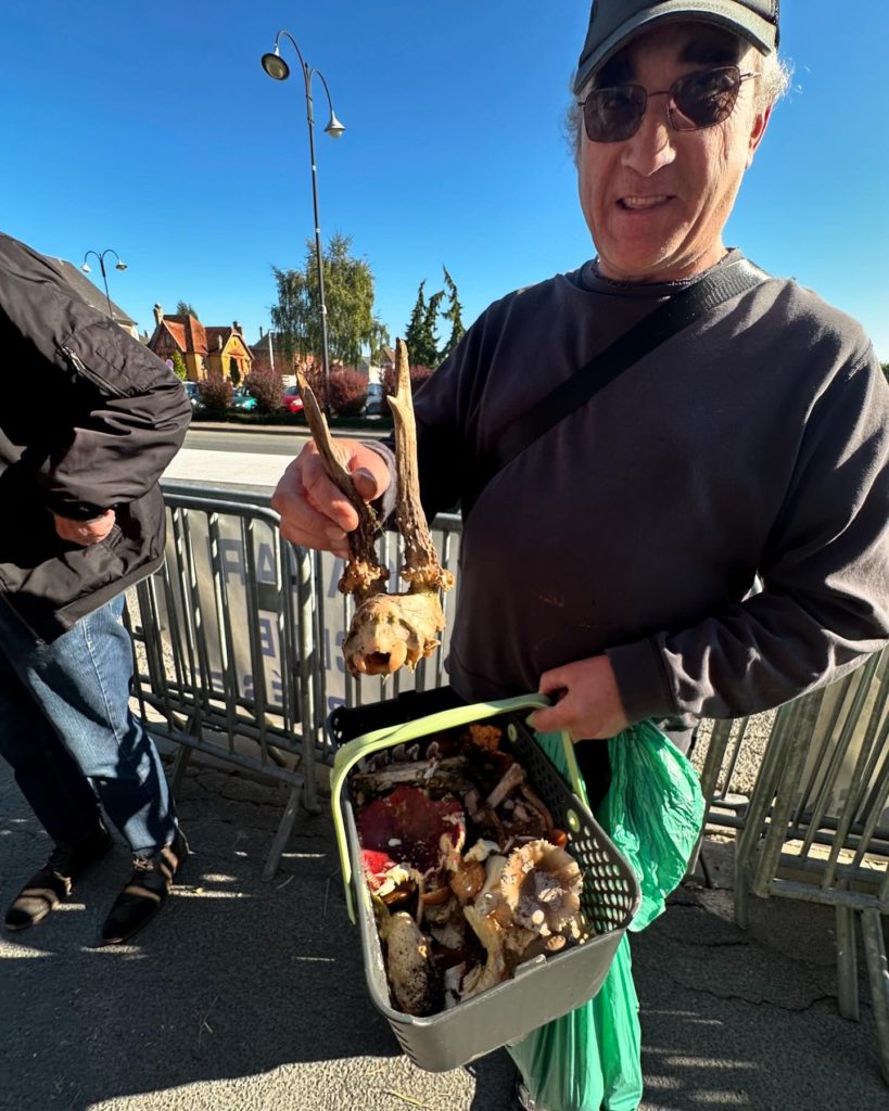 Salon du champignon à Guise