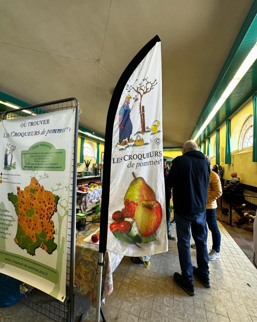 Salon du champignon à Guise