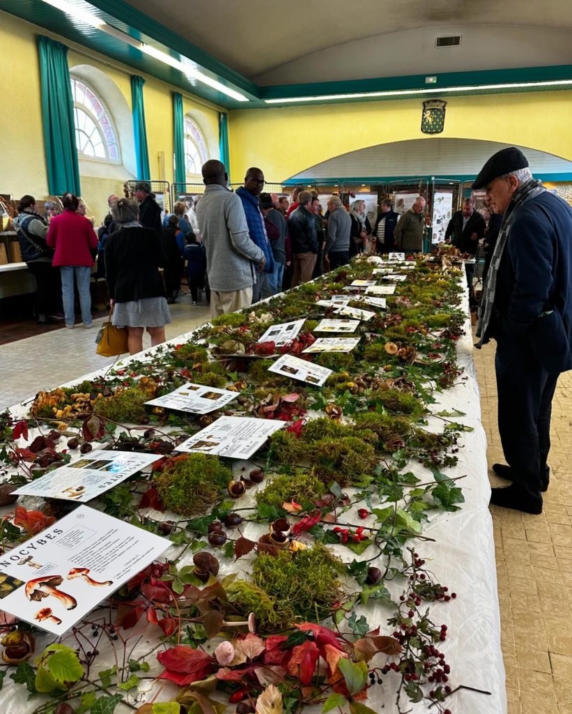 Salon du champignon à Guise